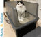 Lucky-Kitty Katzentoilette XXL  Edelstahl mit exklusiver Haube