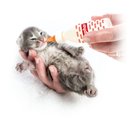 Beaphar Aufzuchtmilch LACTOL für Kätzchen 250 g