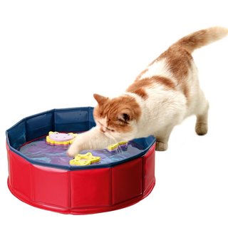 Kitty Pool, Wasserspielzeug für Katzen