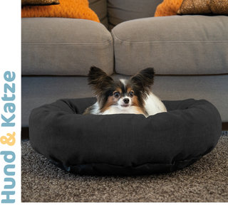 Hundebett/Katzenbett SPRINGFIELD in 2 Farben und 4 Größen